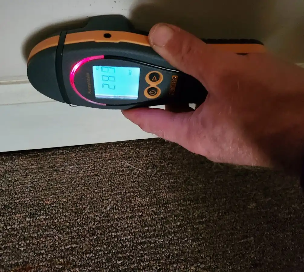 Moisture detection at baseboard during Mold Inspection & Testing in Harrison